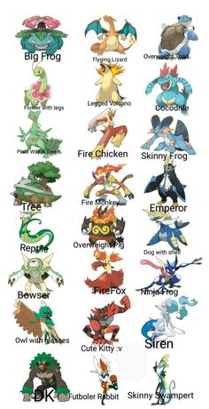 different types of pokemons and their names