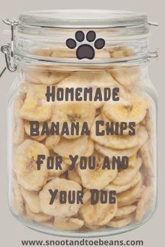 a glass jar filled with bananas and dog paw prints on the lid that says homemade banana chips for you and your dog