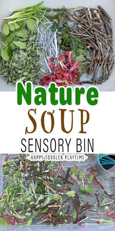 Nature Theme Sensory Bin, Nature Water Play Ideas, Nature Sensory Activities Preschool, Nature Play Week Activities For Toddlers, Nature Sensory Bin Preschool, Herb Sensory Activities, Outdoor Sensory Ideas, Tree Sensory Bin Preschool, All About Earth Preschool