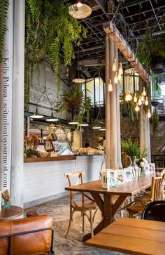 the inside of a restaurant with tables, chairs and potted plants hanging from the ceiling