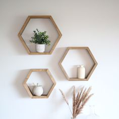 three wooden hexagonal shelves with plants and vases on them against a white wall