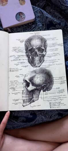 a hand holding an open book with drawings of human skull and bones on it's cover