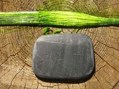 a soap bar sitting on top of a tree stump next to a green piece of wood