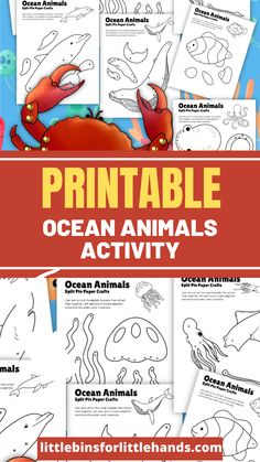 an ocean animal activity pack for kids to learn how to draw and color the animals