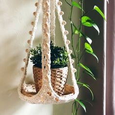 a potted plant in a hanging basket