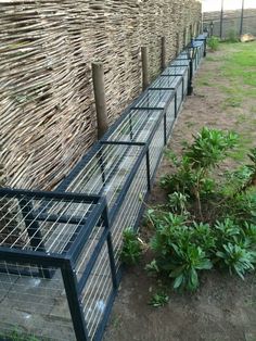 a row of wooden posts next to a fence with grass growing on it and bushes in the foreground