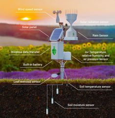 an image of the parts of a solar powered garden light in front of a field