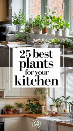 kitchen with plants in the window and text overlay that reads 25 best plants for your kitchen