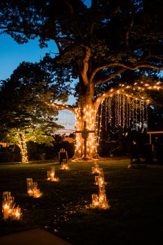 lit candles in the grass under a large tree