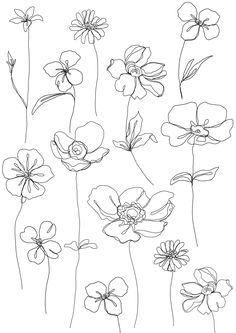 the flowers are drawn in black and white