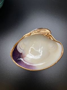 a purple and white shell sitting on top of a table