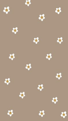 a brown and white wallpaper with small daisies on the side, in various sizes