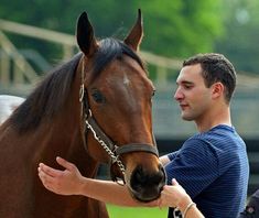 a man is petting the head of a brown horse