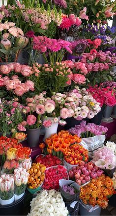 many different types of flowers on display at a flower shop