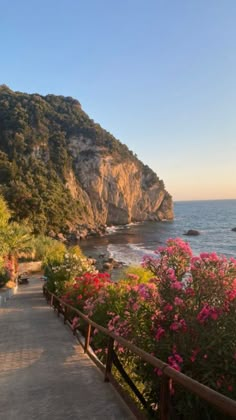 the path to the beach is lined with flowers