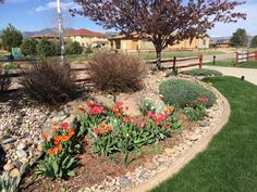 a flower garden with rocks and flowers in the foreground, along side a road