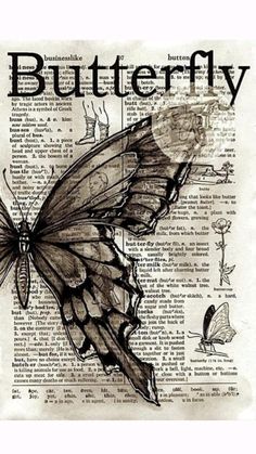 a black and white drawing of a butterfly on an old book page with words written below it