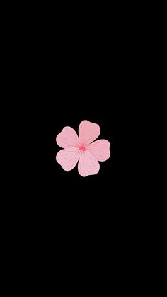 a pink flower on a black background