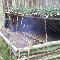 an outdoor fire pit in the woods with logs and trees around it that have been cut down