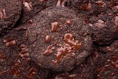 chocolate cookies with melted chocolate chips on top