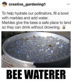 a metal bowl filled with water and bees sitting on it's side next to the words bee watering