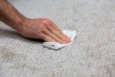 a person wiping up the carpet with a cloth