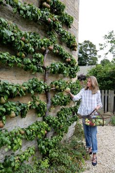 a woman standing next to a stone wall covered in green plants and fruit growing on it