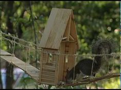 a cat sitting on top of a wooden bird house hanging from a wire above a tree