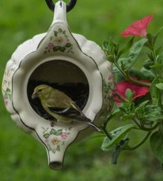 a bird feeder hanging from a plant with flowers in the back ground and green grass behind it