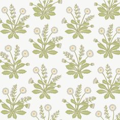 a white and green wallpaper with flowers on it