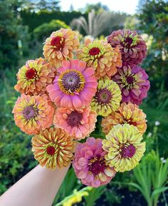 a bunch of flowers that are in someone's hand