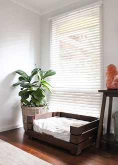 a dog bed sitting on top of a wooden floor next to a potted plant