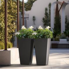 two large planters with white flowers in them