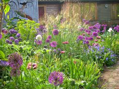 a garden filled with lots of purple flowers next to a wooden building on the side of a road