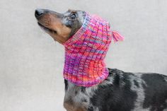 a black and brown dog wearing a pink knitted scarf on top of its head