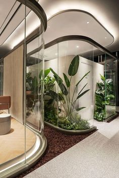 an office with glass walls and plants in the center, along with a circular table