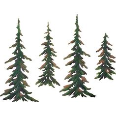 four green pine trees are shown in this image