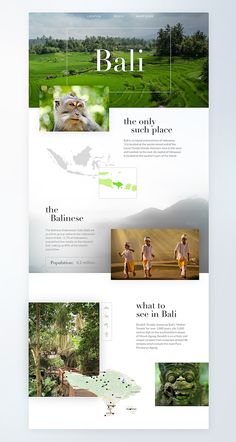 the website design for bali is clean and modern