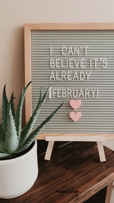 a sign that says i can't believe it's already february next to a succulent