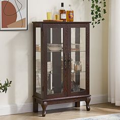 a tall wooden cabinet with glass doors and shelves on the top, next to a potted plant