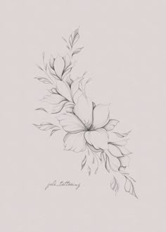 a pencil drawing of a flower on a white paper with the words, just nothing