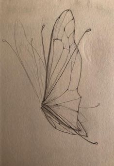 a pencil drawing of a butterfly on paper