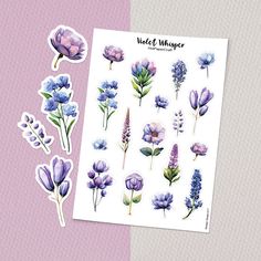 the watercolor flowers stickers are displayed on a pink background with purple and blue accents