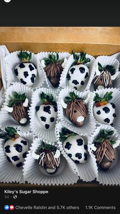 chocolate covered strawberries are arranged in the shape of cow's heads and strawberrys