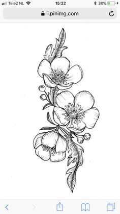 a black and white drawing of flowers