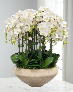 a white flower arrangement in a bowl on a table