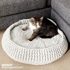 a cat laying on top of a white knitted bed in front of a gray couch