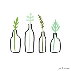 three bottles with plants in them sitting next to each other