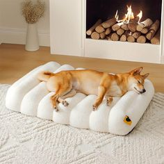 a dog laying on a pillow in front of a fire place