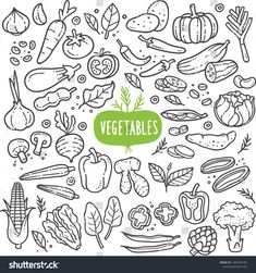 hand drawn vegetables and fruits on white background